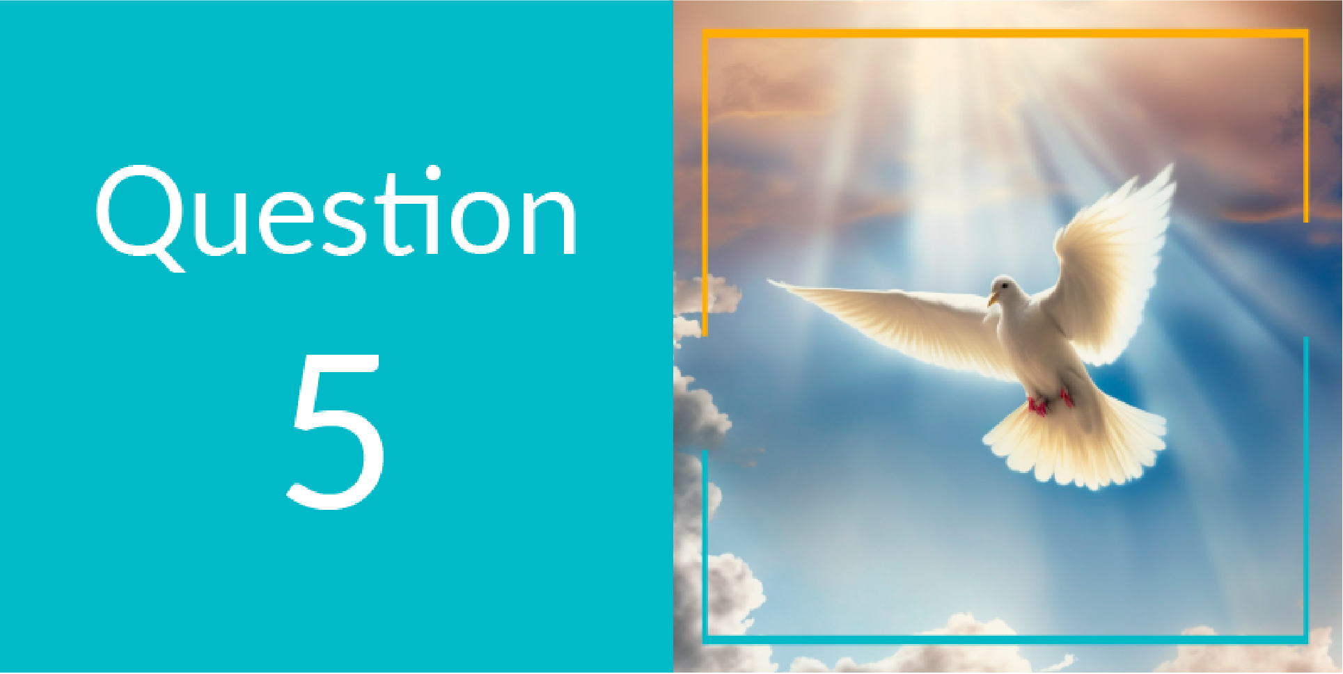 question 5. a white dove in a sunbeam 